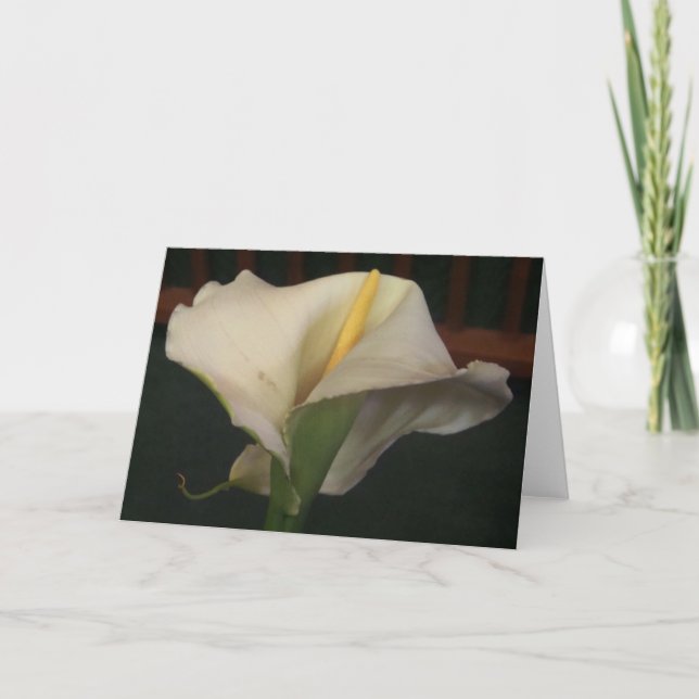 Calla Lily Greeting Card Kort (Framsida)