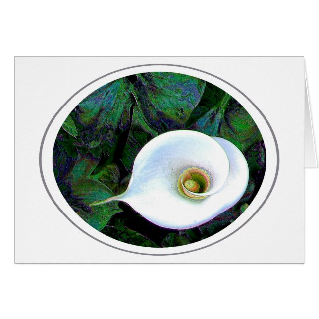 Calla Lily Hälsningskort (Framsidan Horizontal)