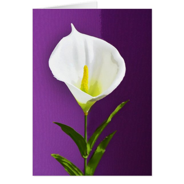 Calla Lily Hälsningskort (Framsidan)
