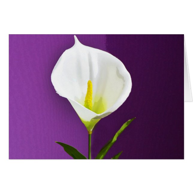 Calla Lily Hälsningskort (Framsidan Horizontal)