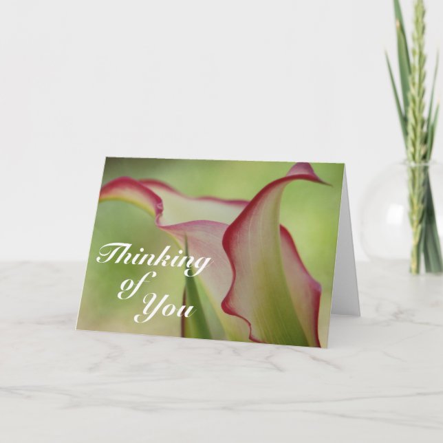 Calla Lily-hälsningskort Kort (Framsida)