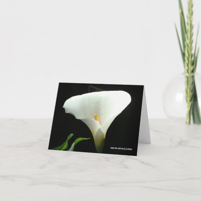 Calla Lily in Black Kort (Framsida)