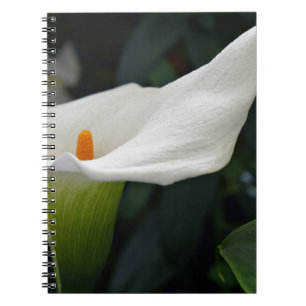 Calla Lily.JPG Anteckningsbok