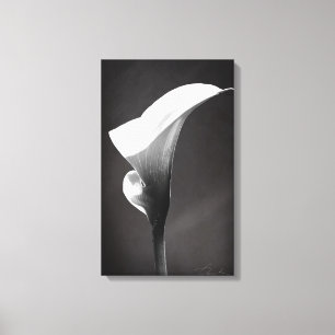 Calla lily kanvastryck