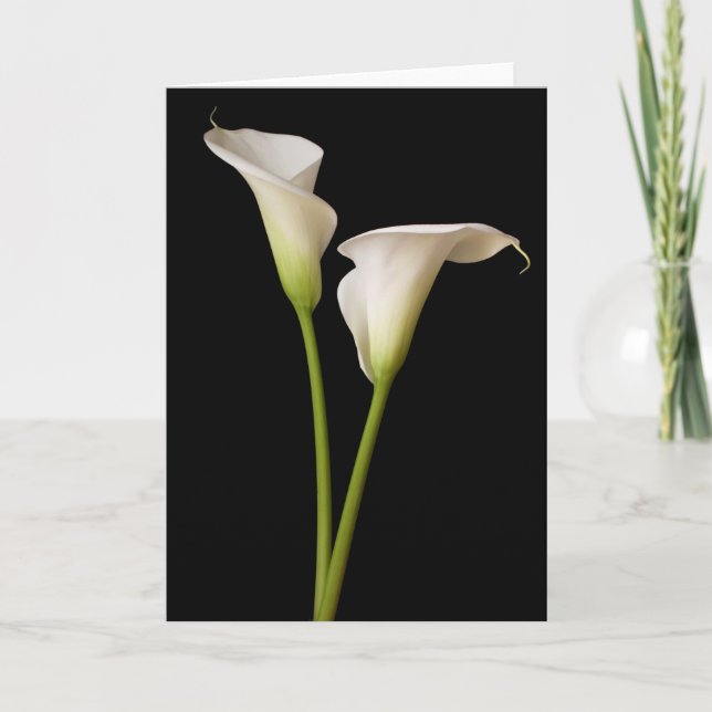 Calla Lily Kort (Framsida)