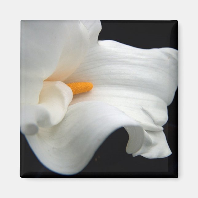 Calla lily magnet (Framsidan)