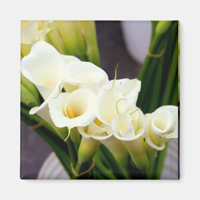 calla lily magnet (Framsidan)