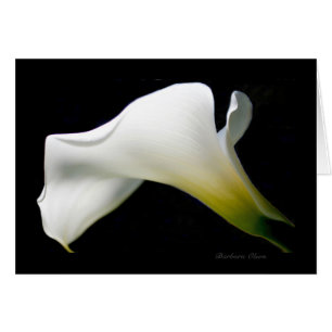Calla Lily - med nåd och stil*: Hälsningskort