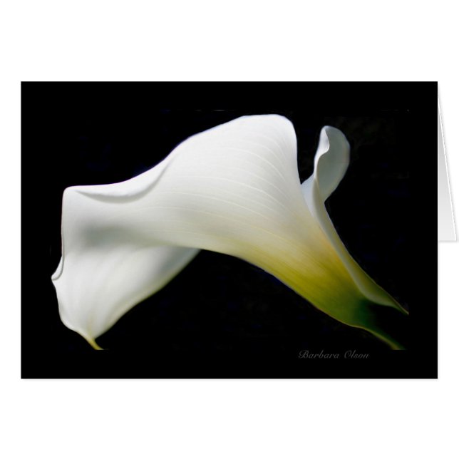 Calla Lily - med nåd och stil*: Hälsningskort (Framsidan Horizontal)