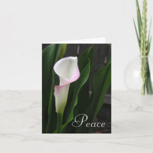 Calla Lily Note-kort Kort