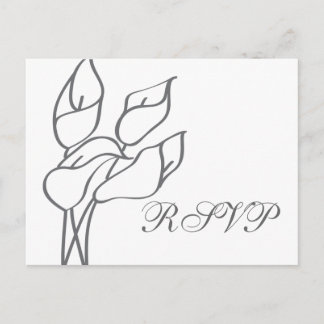 Calla Lily OSA vykort