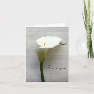 Calla lily på den gamla handskriften tack kort