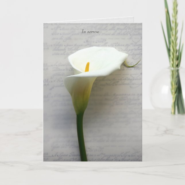 Calla lily på gamla handskriftssympatier helgkort (Framsida)