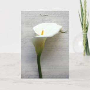 Calla lily på gamla handskriftssympatier helgkort