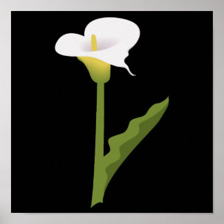 CALLA LILY POSTER