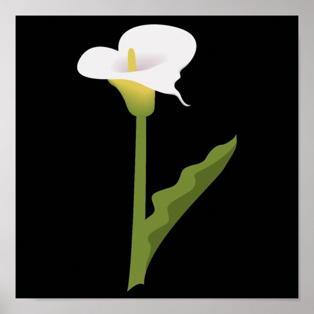 CALLA LILY POSTER (Framsidan)