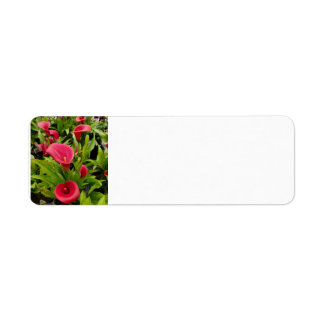 Calla Lily Returadress Etikett