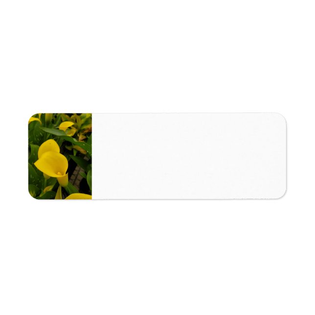 Calla lily returadress etikett (Framsidan)