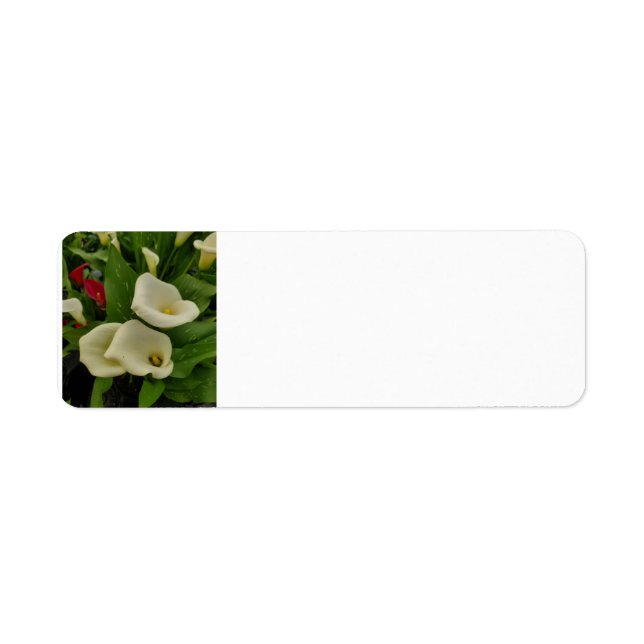Calla lily returadress etikett (Framsidan)