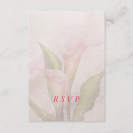 Calla Lily Rosa OSA kort