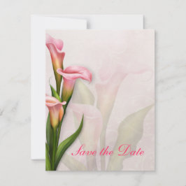 Calla Lily Rosa Spara datum Datumet