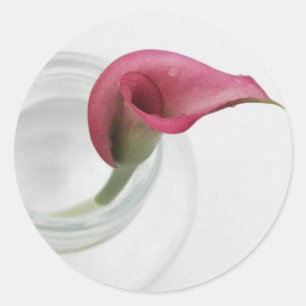 Calla Lily Runt Klistermärke