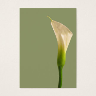 Calla lily Sage Grönt Card Visitkort