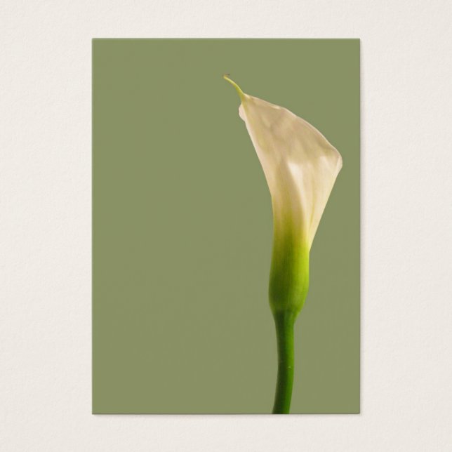 Calla lily Sage Grönt Card Visitkort (Framsidan)