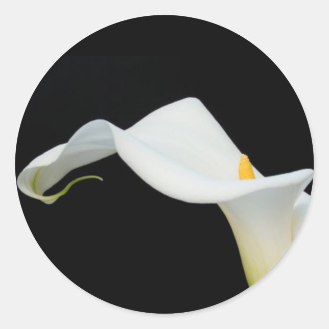 Calla Lily Sticker/Seal Runt Klistermärke (Framsida)