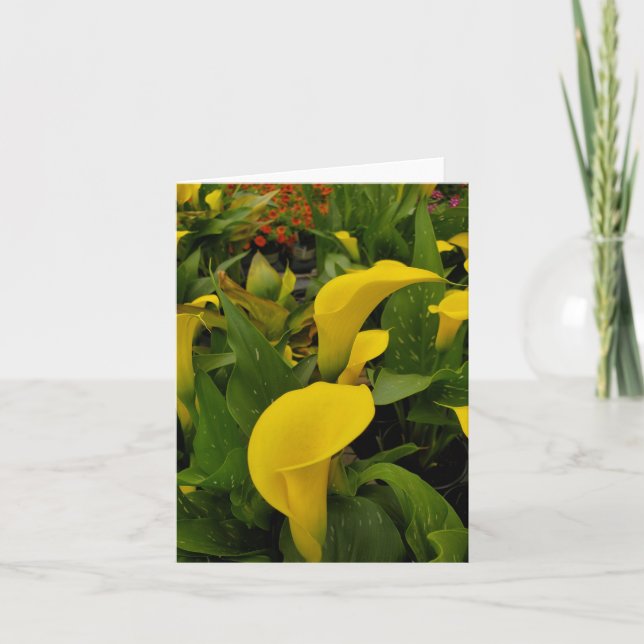 Calla lily tack kort (Framsida)