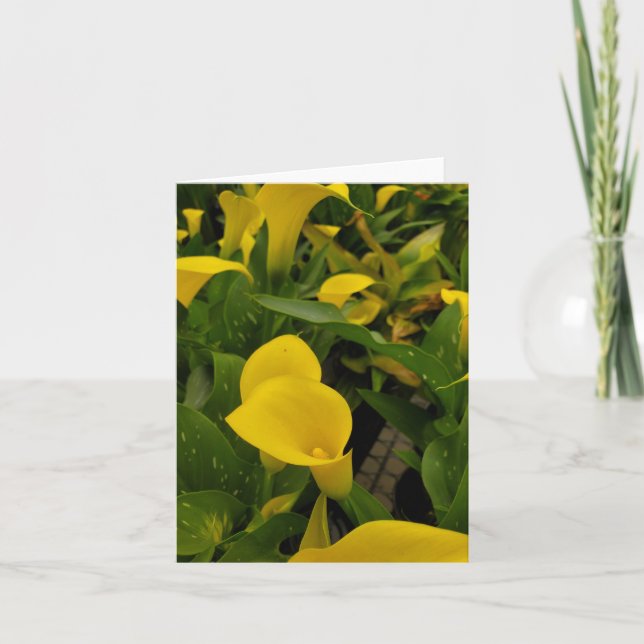 Calla lily tack kort (Framsida)