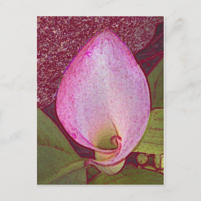Calla Lily Vykort (Framsida)