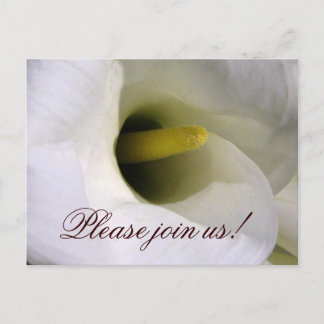 Calla lily-vykort för inbjudan vykort