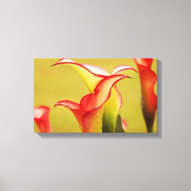 Calla Lily Wall Art Canvastryck (Framsida)