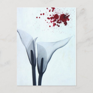 Calla Lily X-ray Vykort