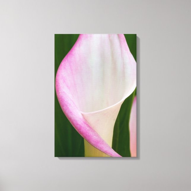 Calla Pano Canvastryck (Framsida)