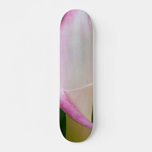 Calla Pano Mini Skateboard Bräda 18,5 Cm (Framsida)