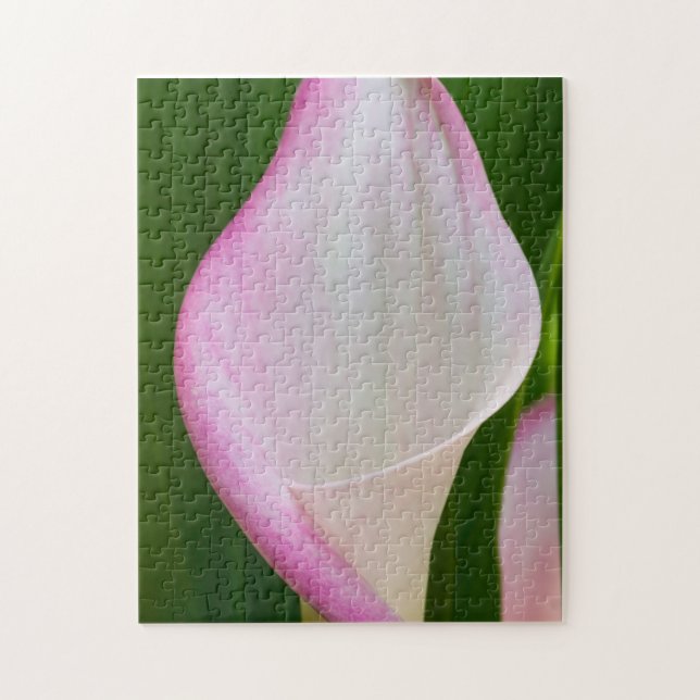 Calla Pano Pussel (Vertikal)