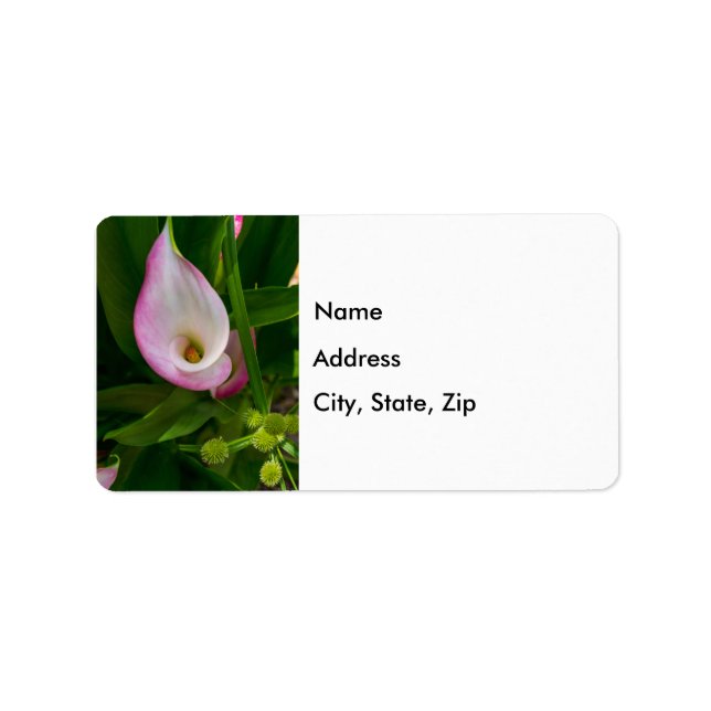 Calla Roll Address Label Adressetikett (Framsidan)