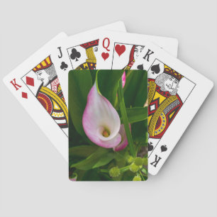 Calla Roll Casinokort