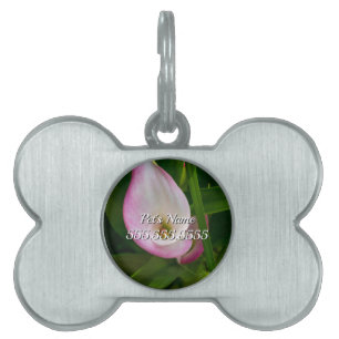 Calla Roll Pet ID-tagg ID-bricka Husdjur