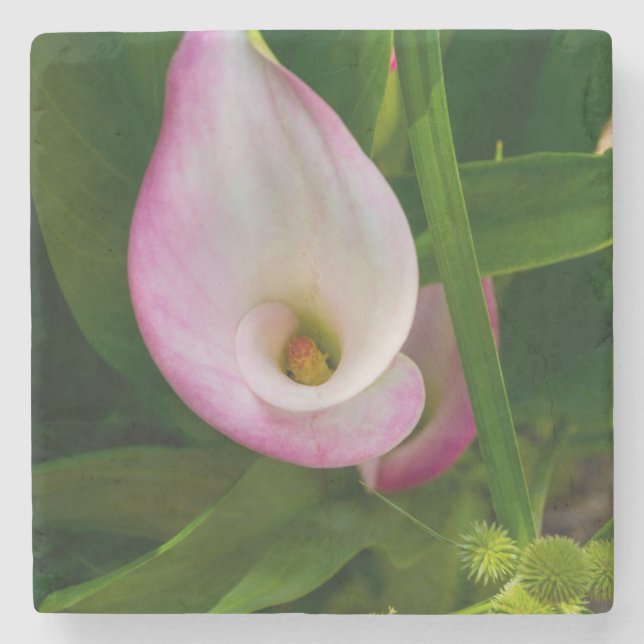 Calla Roll Stenunderlägg (Framsidan)