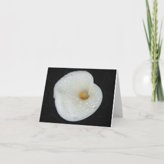 CallaLily efter en aftondusch NoteCard Kort