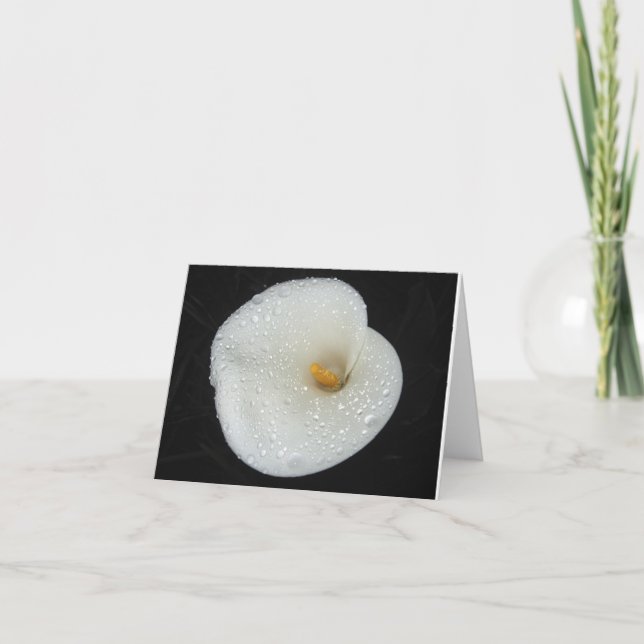CallaLily efter en aftondusch NoteCard Kort (Framsida)