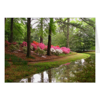 Callaway Stream Hälsningskort