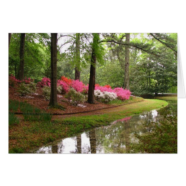 Callaway Stream Hälsningskort (Framsidan Horizontal)