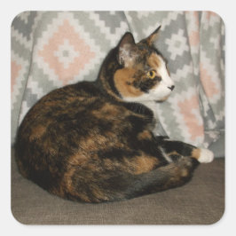 Callie Cat på Soffa Fyrkantigt Klistermärke