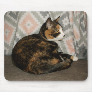 Callie Cat på Soffa Musmatta
