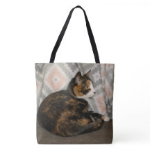 Callie Cat på Soffa