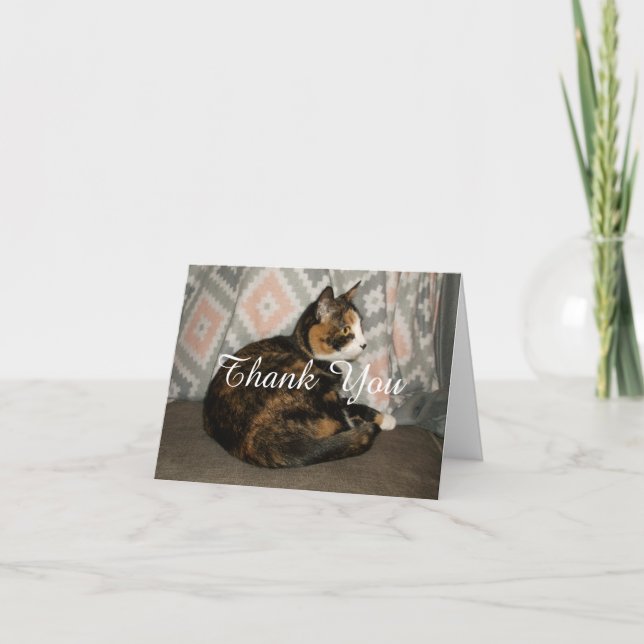Callie Katt på soffan Tack Kort (Framsida)